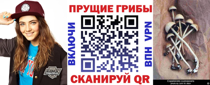Галлюциногенные грибы прущие грибы  Люберцы 